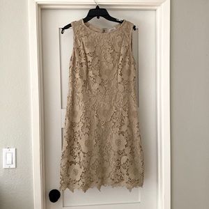 Size 12 eci fully lined lace beige dress. 36” in length from top of back.